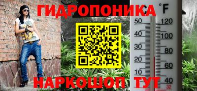 ешки Можга