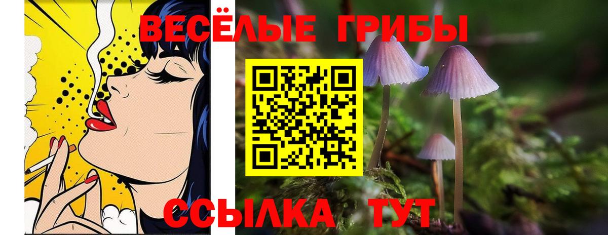 Псилоцибиновые грибы мухоморы Щёлково
