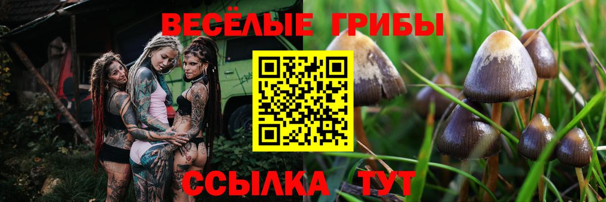 Щёлково  Псилоцибиновые грибы мухоморы  Вход с VPN 